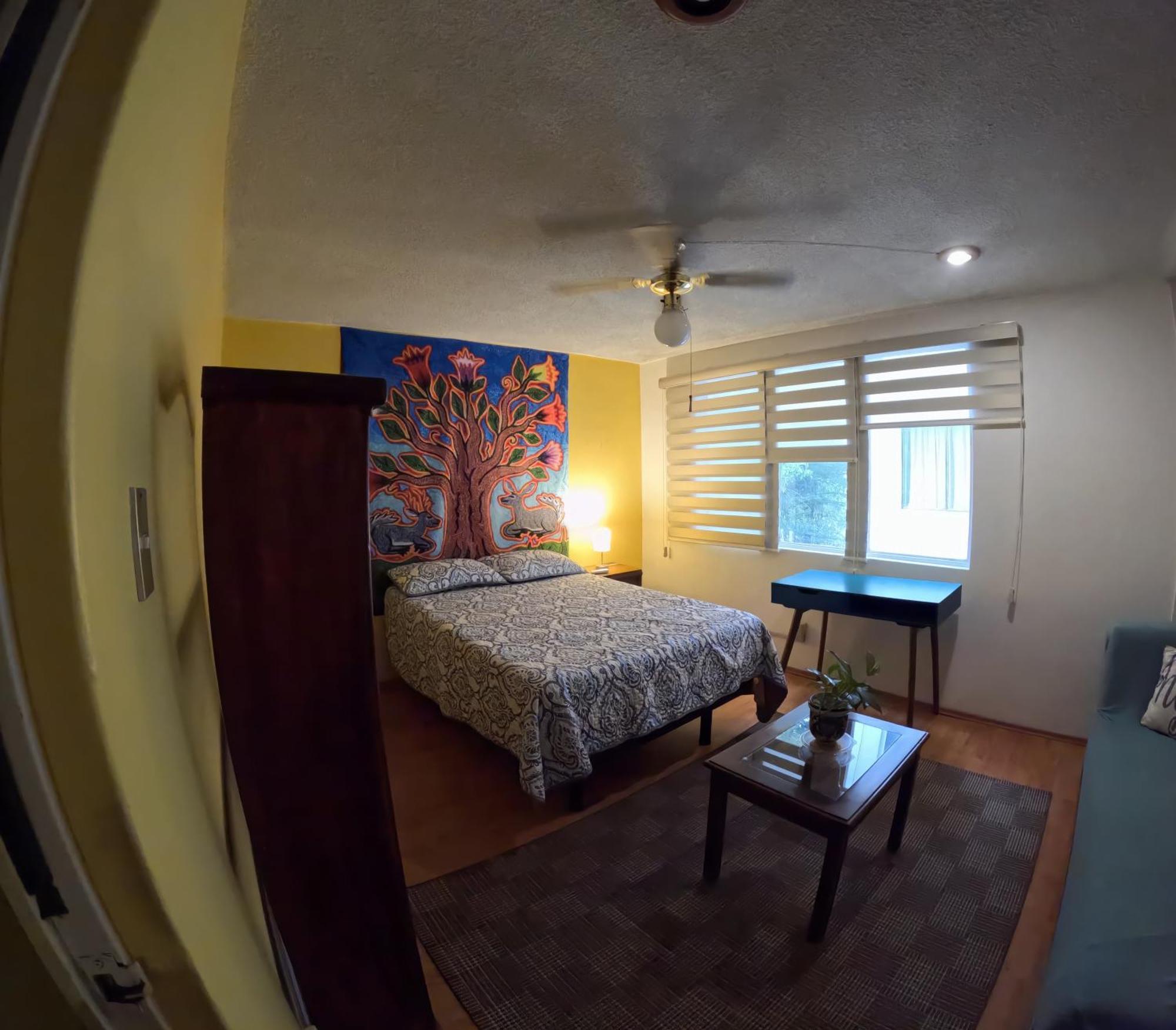 Neighbor Of Frida Khalo, Vintage Stay In Coyoacan Mexico City Exterior photo